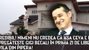 INCREDIBIL! Nimeni nu credea ca asa ceva e posibil! Ce pregateste Gigi Becali in prima zi de LIBERTATE la vila din Pipera!