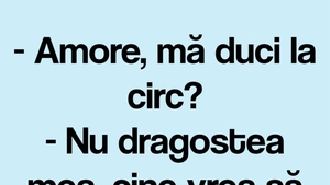 BANCUL ZILEI | "Amore, mă duci la circ?"