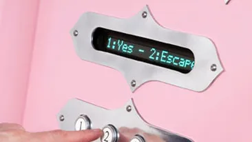 Automate pentru casatorii