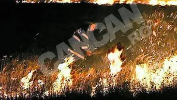 Au ars 300 de hectare din Biosfera Delta Dunarii