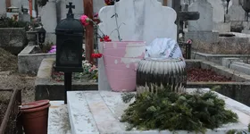 Galerie foto - poza 3