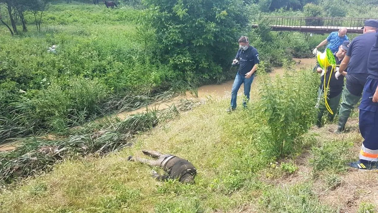 O femeie din Dolj, luată de viitură, a fost găsită moartă