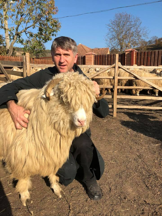 Incredibil cum şi-a numit Cristian Pomohaci oile! Răzvan Simion se va enerva