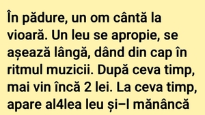 BANCUL ZILEI | Violonistul din pădure