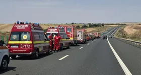 Galerie foto - poza 4