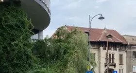 Galerie foto - poza 3