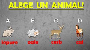 Test IQ psihologic | Apocalipsa vine și nu poți salva decât un animal. Pe care îl alegi?