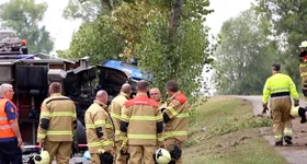 Galerie foto - poza 4