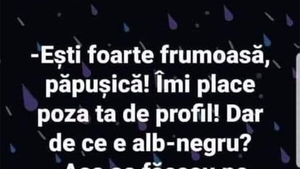 BANCUL ZILEI | Poza de profil albu-negru