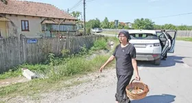 Galerie foto - poza 1