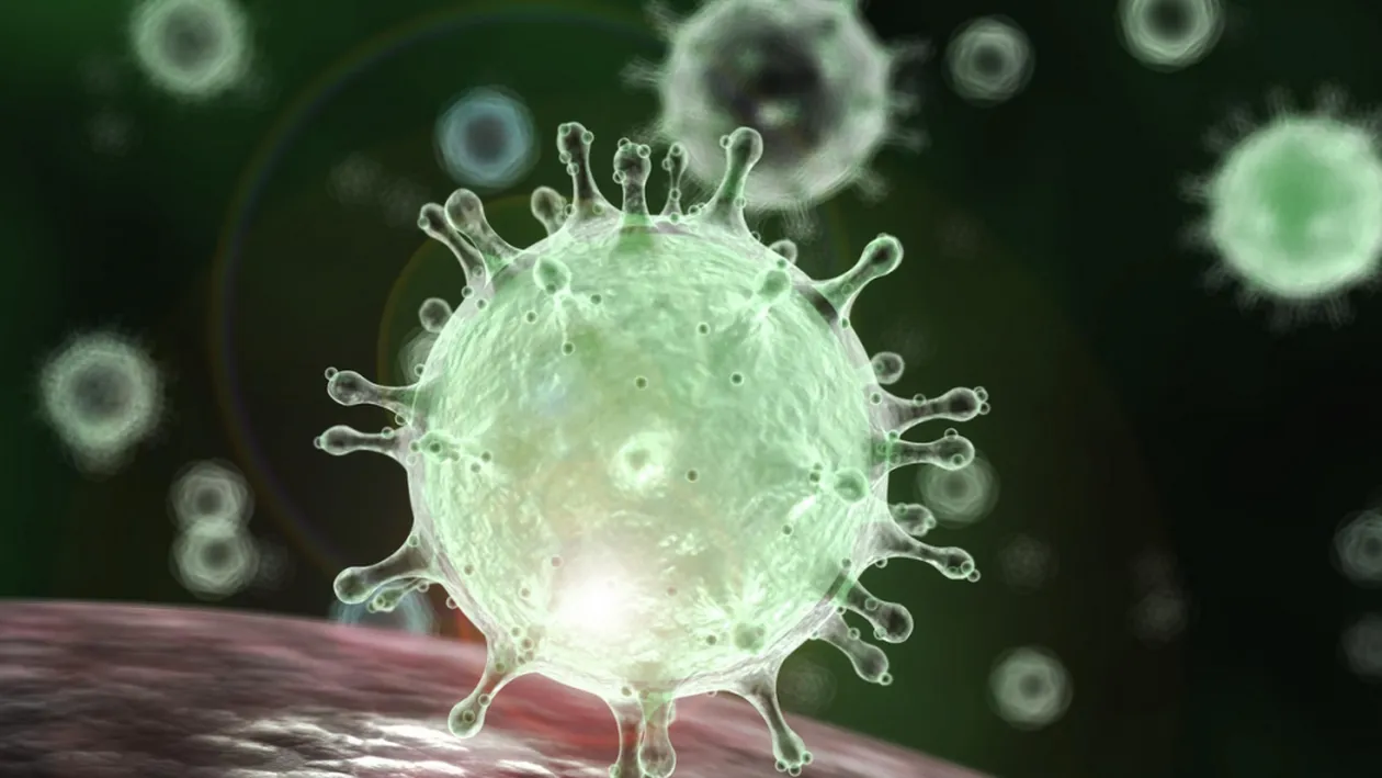 INSP, informare de presă: ”Încă 6 persoane au fost ucise de COVID-19 în România”. Numărul deceselor înregistrate a ajuns la 717