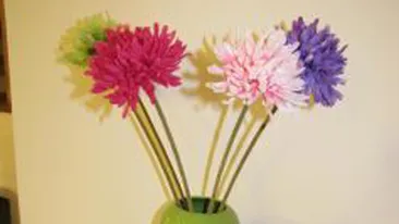 Cristina Siscanu e o gospodina desavarsita! Coace paine in casa!