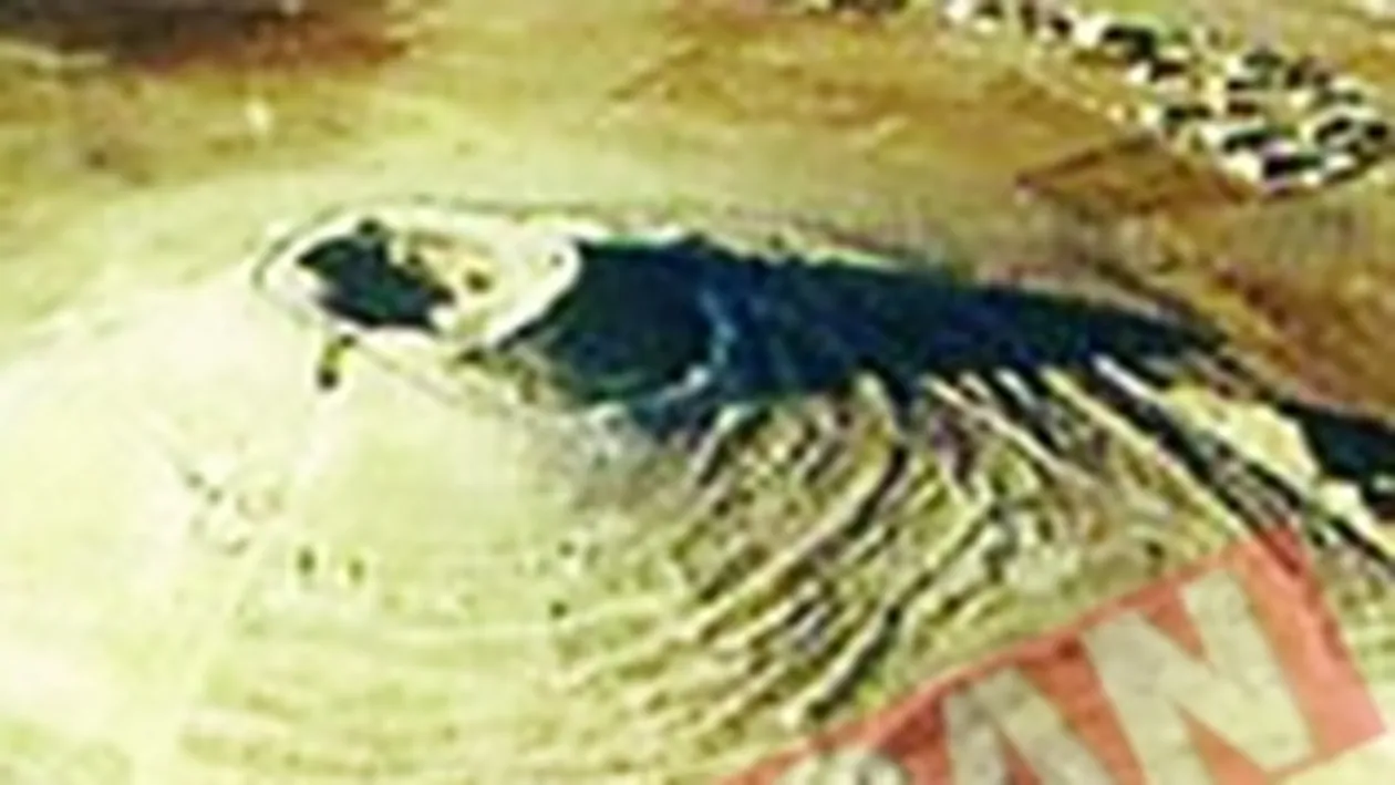 S-a descoperit mormantul lui Irod