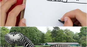 Galerie foto - poza 2