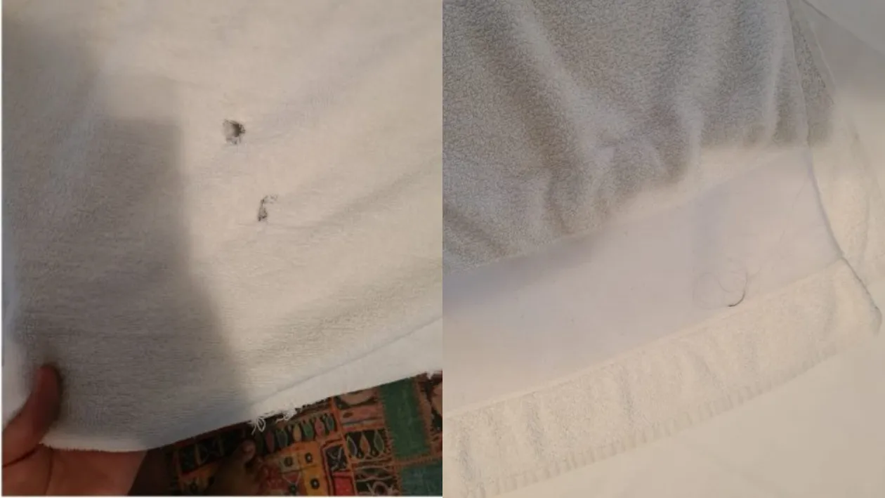 Mizerie de nedescris într-o pensiune de 3 stele din Mamaia: ”Cum am intrat, șiroi de furnici”