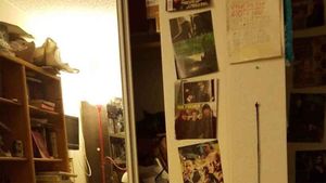 Iluzie optică virală | Găsiți pisica ascunsă în această poză! Geniile o văd în maximum 6 secunde