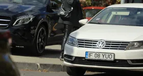 Galerie foto - poza 3