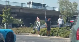 Galerie foto - poza 3