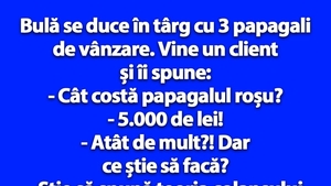 BANC | Bulă se duce în târg cu 3 papagali de vânzare