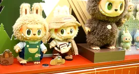 Galerie foto - poza 4