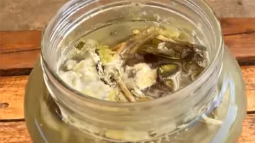 Câte luni rezistă murăturile în borcan, de fapt, până să facă floare