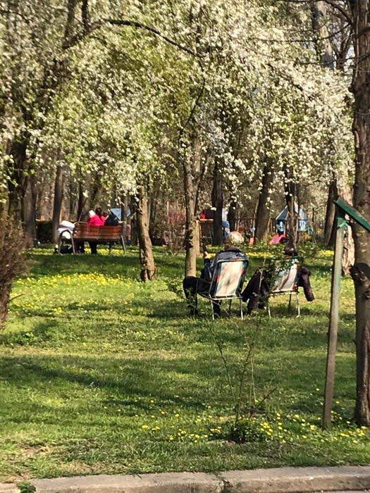 Imagini halucinante. Bucureștenii au ieșit la picnic în Herăstrău: Și-au scos măsuțele la „iarbă verde”!
