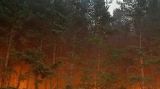 Incendiu de vegetatie la cota 2000, pe versantul argesean al Muntilor Fagaras