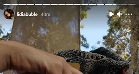 Galerie foto - poza 3