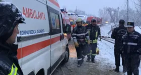 Galerie foto - poza 3