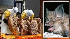 Asta schimbă tot! S-a aflat adevărul despre coronavirus