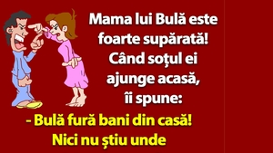 BANC | "Bulă fură bani din casă!"