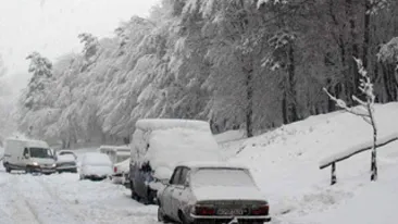 In prima lună de primăvară, s-a intors iarna! Au revenit ninsorile, iar temperaturile au scăzut in toată ţara!