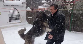 Galerie foto - poza 3