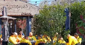 Galerie foto - poza 2