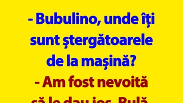 BANC | Bulă și ștergătoarele de la mașina Bubulinei