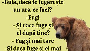 BANC | "Bulă, dacă te fugărește un urs, ce faci?"