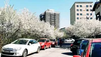 ANM, informații de ultimă oră! Vremea o ia razna în luna martie: ce temperaturi ne așteaptă primăvara aceasta