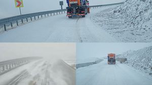 Ninge în România. Vremea s-a schimbat radical. Stratul de zăpadă a ajuns la 10 centrimetri | VIDEO