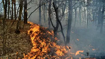 Alertă! Catastrofa din Grecia, unde au murit aproape 90 de oameni, s-ar putea repeta și în România. Peste 15.000 de incendii de vegetație în țara noastră, în 2017