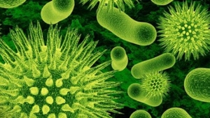 Încă un virus periculos îi bagă în alertă pe specialiști! Nu există tratament, iar mortalitatea e mare