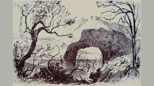 Iluzie optică virală | Câte animale se ascund, de fapt, în această fotografie? Doar un geniu le poate identifica pe toate