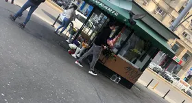 Galerie foto - poza 3