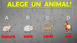 Test IQ psihologic | Apocalipsa vine și nu poți salva decât un animal. Pe care îl alegi?
