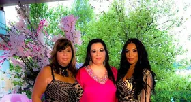 Galerie foto - poza 3