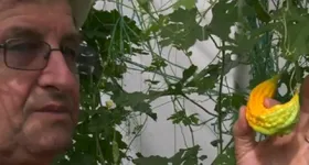 Galerie foto - poza 4