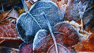 VREMEA se răceşte. PROGNOZA METEO pentru luni şi marţi, în ţară şi în Bucureşti