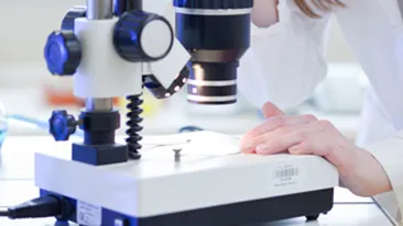 E. coli si controversele unei epidemii