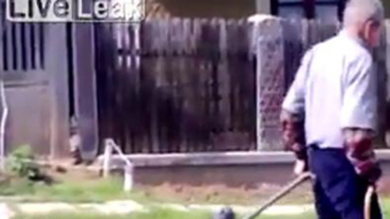 VIDEO Razi de mori! VEZI cum isi cara un mos nevasta moarta de beata cu caruciorul de butelii