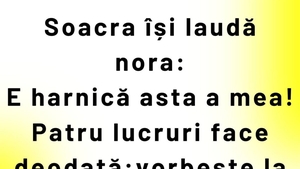 BANC | Soacra își laudă nora: "4 lucruri face deodată!"
