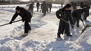 China provoaca ninsori ca sa salveze productia de grau!